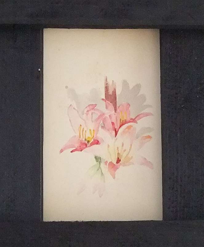 ELEVEN ORIGINAL SMALL FLORAL WATERCOLOR PAINTINGS BY HEDWIG BRECHER EIBUSCHITZ - UNFRAMED