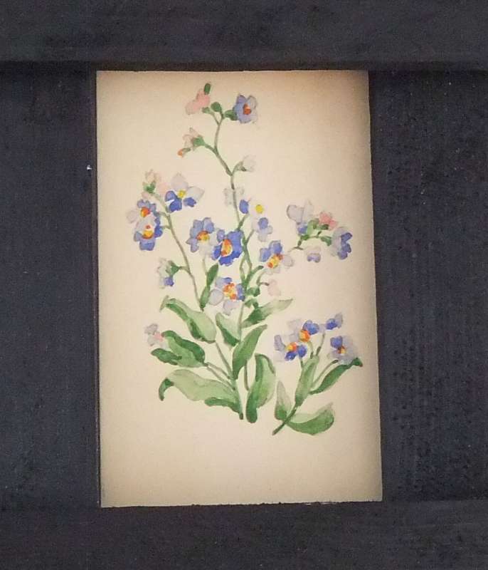 ELEVEN ORIGINAL SMALL FLORAL WATERCOLOR PAINTINGS BY HEDWIG BRECHER EIBUSCHITZ - UNFRAMED