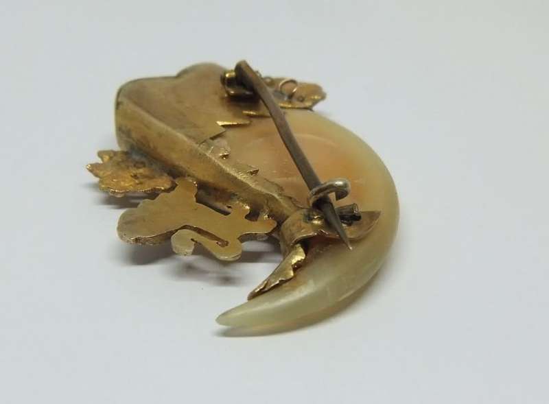 WOW !! AN AMAZING ANTIQUE VICTORIAN GENUINE LIONS` CLAW BROOCH WITH MIXED GOLD FITTING !!