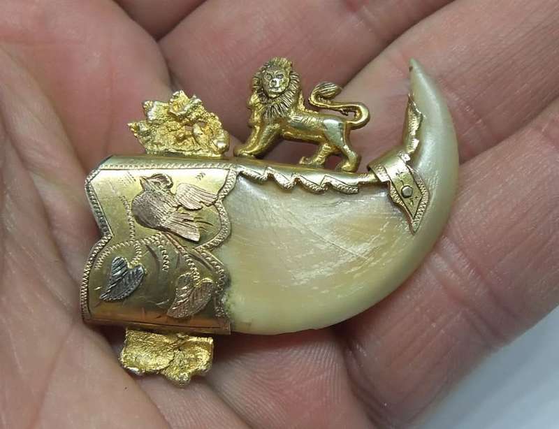 WOW !! AN AMAZING ANTIQUE VICTORIAN GENUINE LIONS` CLAW BROOCH WITH MIXED GOLD FITTING !!