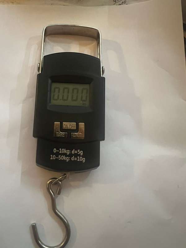 50kg/110lb Digital LCD Hanging Fishing Weighing Scale