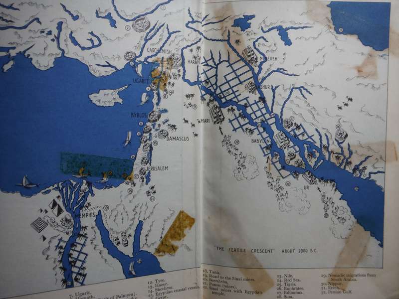 The Bible as History : Archaeology Confirms the Book of Books - Werner Keller - 1958