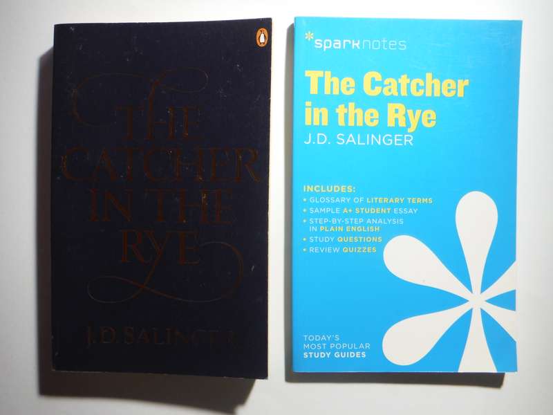 The Catcher in the Rye - Paperback - J.D. Salinger and Sparknotes Study Guide