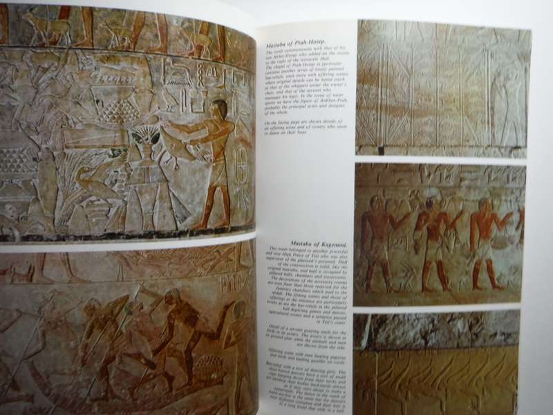 Art and History of Eqypt : 5000 Years of Civilization - Softcover - Alberto Carlo Carpiceci