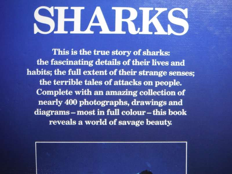 Sharks : Silent Hunters of the Deep - Hardcover - Reader's Digest