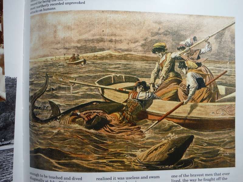 Sharks : Silent Hunters of the Deep - Hardcover - Reader's Digest