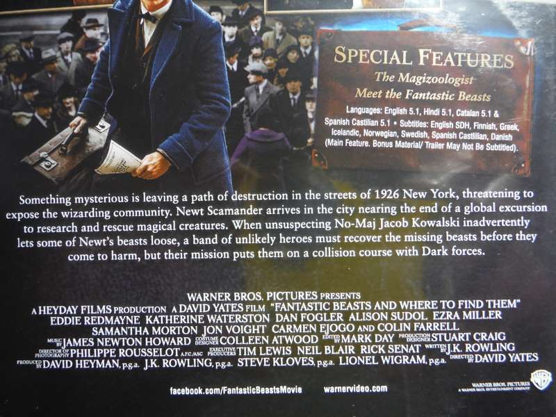 Fantastic Beasts & Where to Find Them - DVD