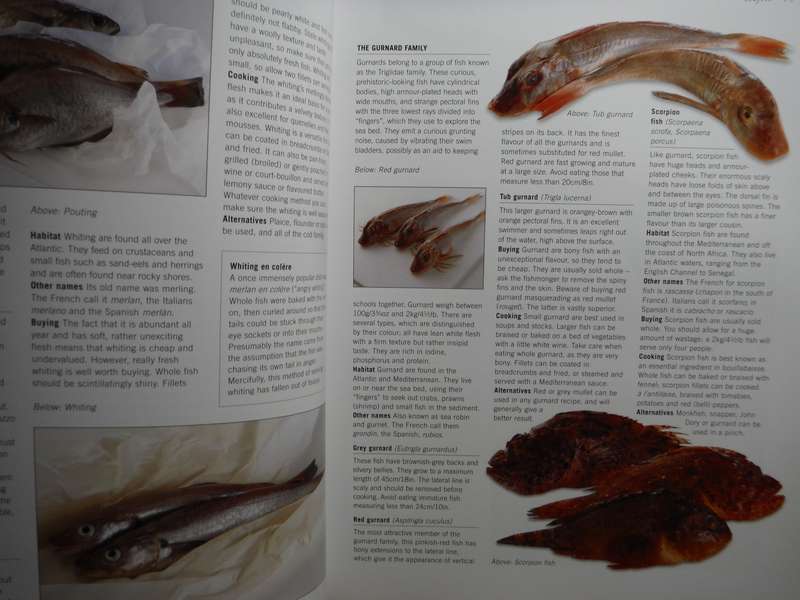 The World Encyclopedia of Fish and Shellfish - Softcover - Kate Whiteman