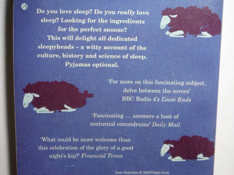 The Sleepyhead's Bedside Companion - Paperback - Sean Coughlan