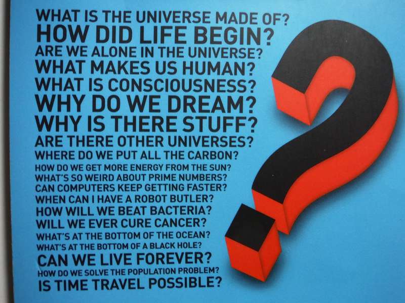 The Big Questions in Science - Paperback - Hayley Birch