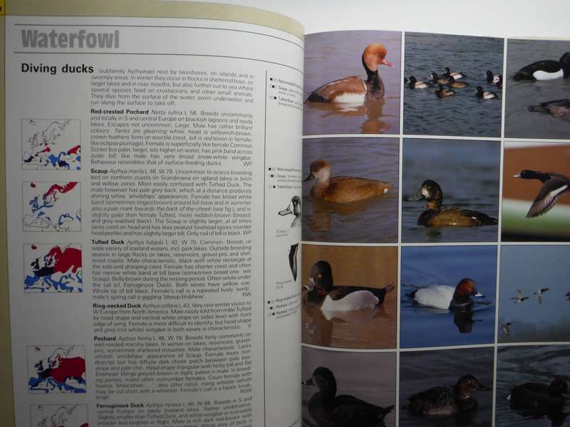 Photographic Guide to the Birds of Britain & Europe - Hardcover - Hakan Delin