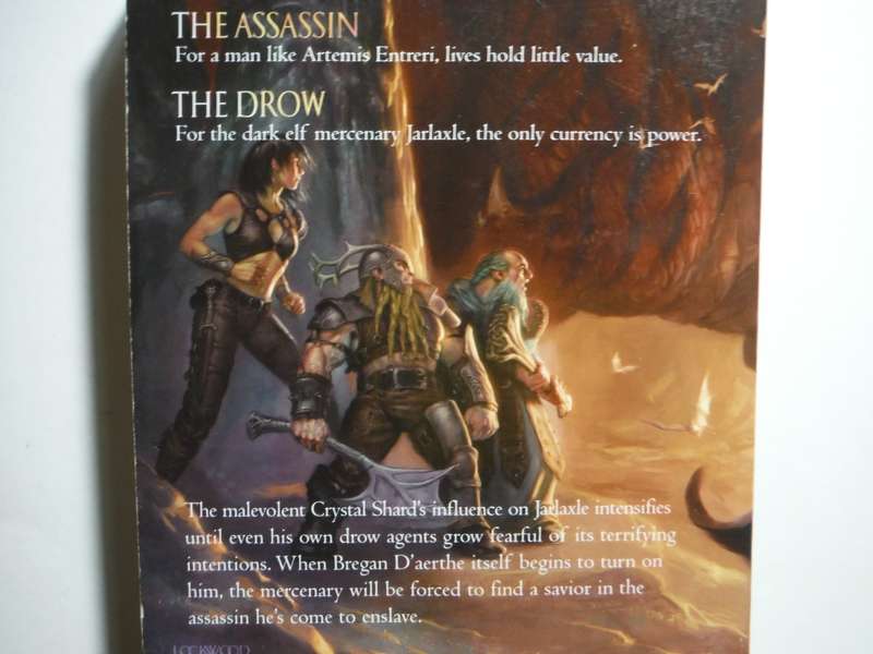 Forgotten Realms : Servant of the Shard : The Sellswords : Book 1 - Paperback - R.A. Salvatore