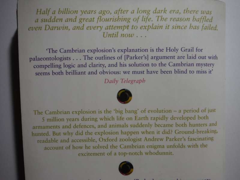 In the Blink of an Eye : How Vision Kick-Started the Big Bang of Evolution - Paperback
