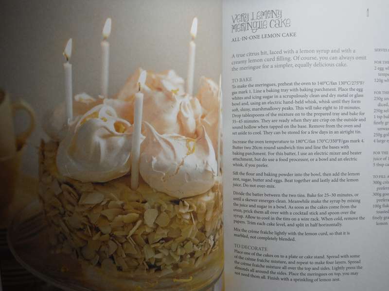 The Birthday Cake Book - Hardcover - Fiona Cairns