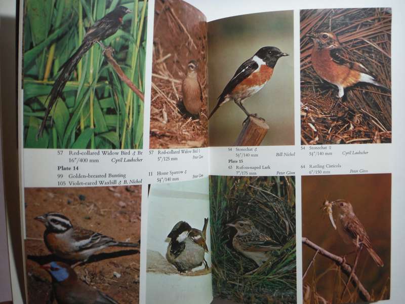 Bundu Series : Birds of the Highveld - Paperback - Peter Ginn - 1972 Edition