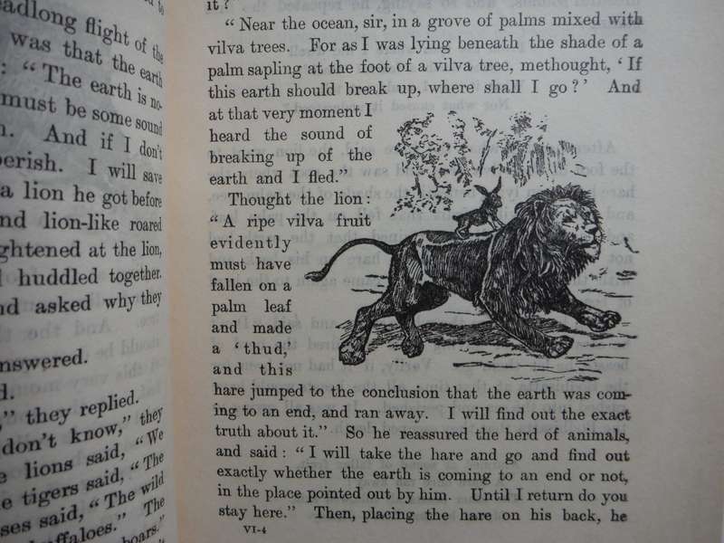 The Animal Story Book - Hardcover - Young Folks' Library - 1944 Edition