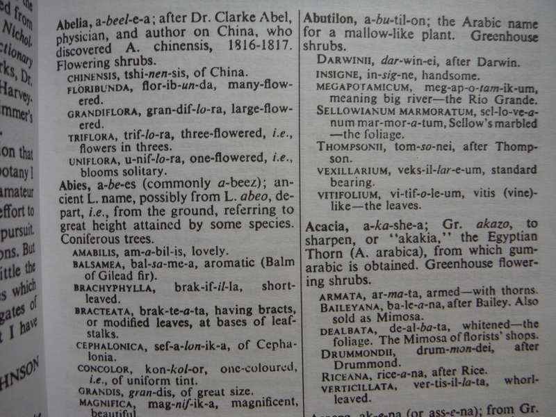 Plant Names Simplified : Their Pronunciation Derivation and Meaning - Paperback - A.T. Johnson