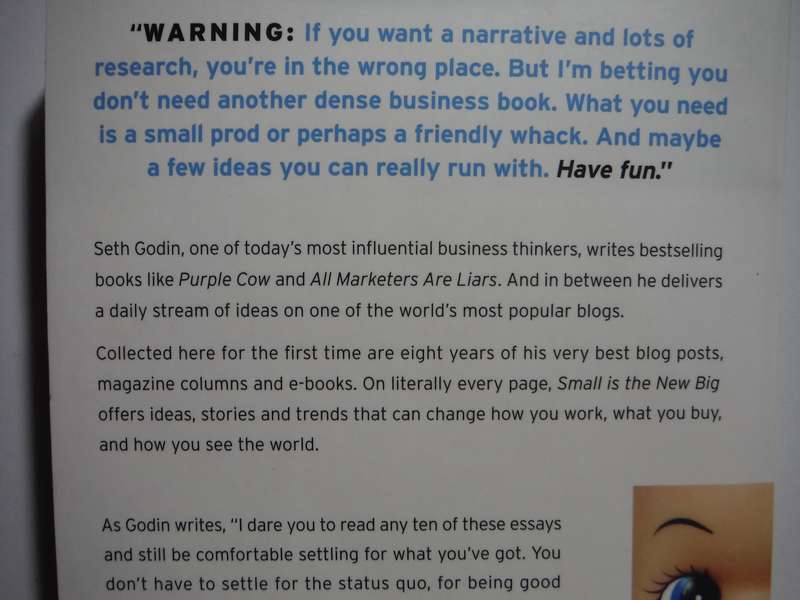 Small is the New Big and 183 Other Riffs, Rants and Remarkable Business Ideas - Seth Godin