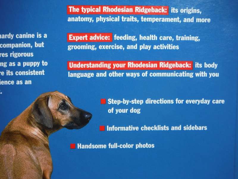Rhodesian Ridgebacks : A Complete Pet Owner's Manual - Softcover - Sue Fox
