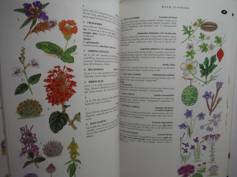 Southern African Green Guide : Flowers, Grasses, Ferns and Fungi - Paperback - Elsa Pooley