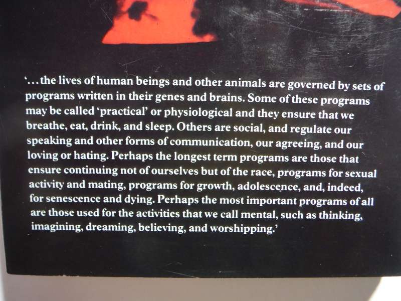 Programs of the Brain - Hardcover - J.Z. Young