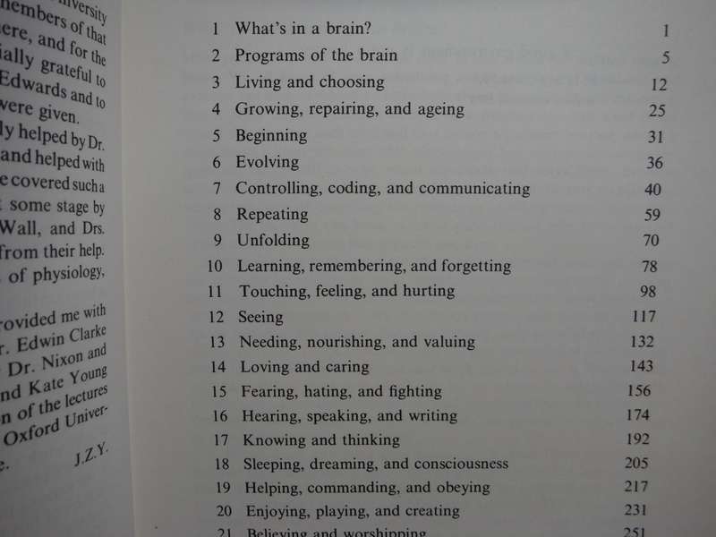 Programs of the Brain - Hardcover - J.Z. Young