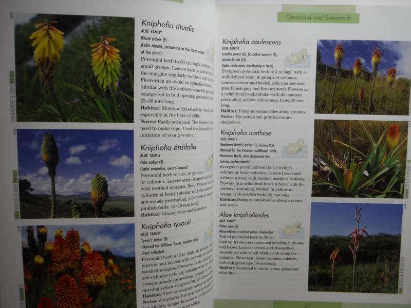 Photographic Guide to the Wildflowers of South Africa - Softcover - John Manning