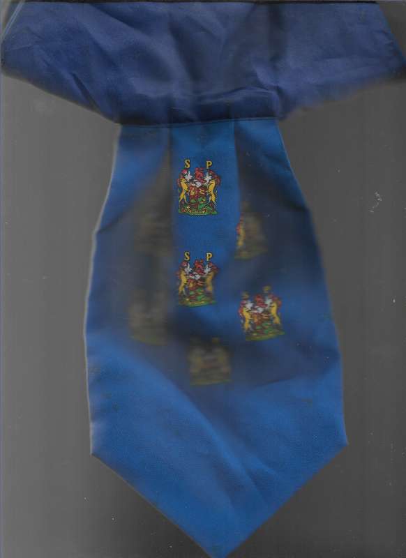 SCARF- NECKERTIE-  STATE PRESIDENT GUARD UNIT