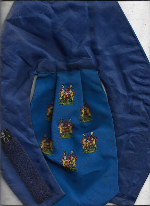 SCARF- NECKERTIE-  STATE PRESIDENT GUARD UNIT