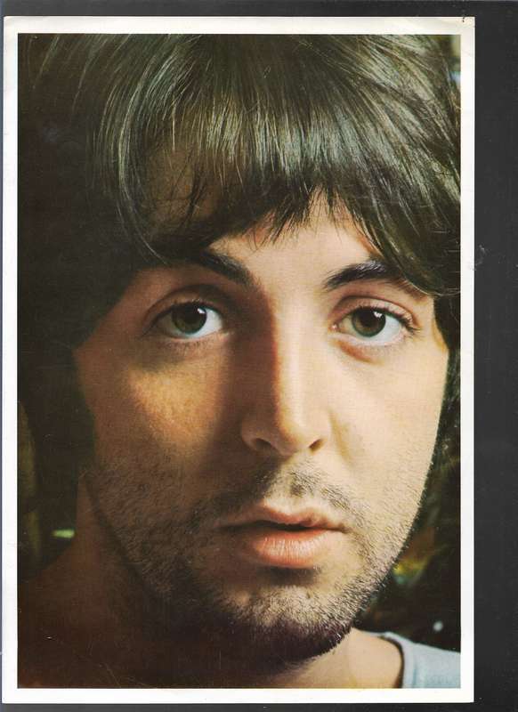 THE BEATLES (LP RECORD)
