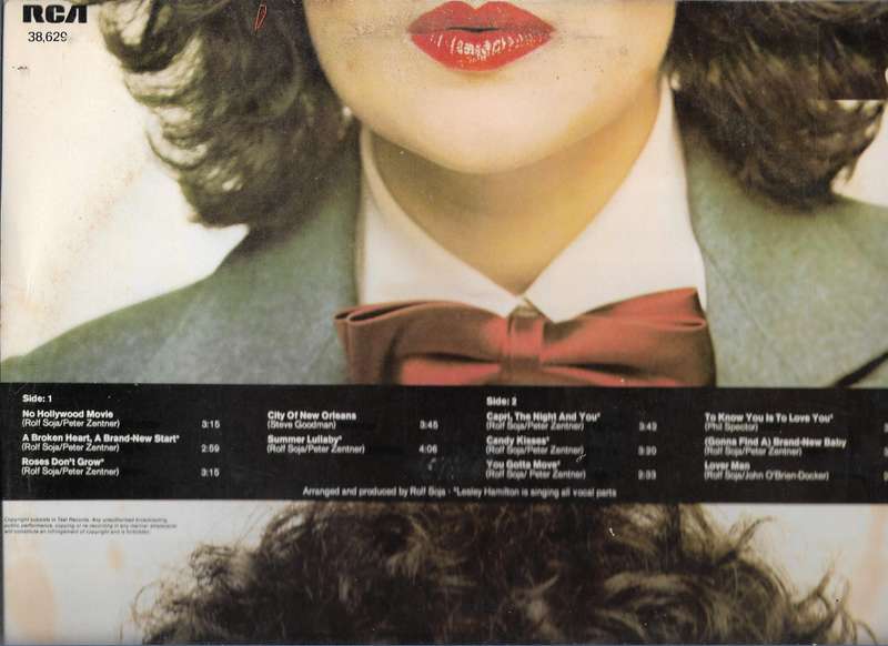 LESLEY HAMILTON- NO HOLLYWOOD MOVIE (LP VINYL)