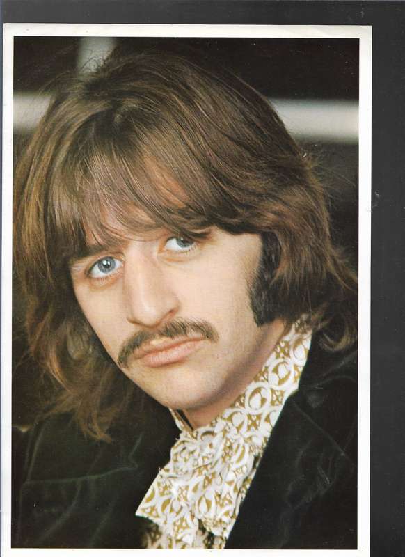 THE BEATLES (LP RECORD)