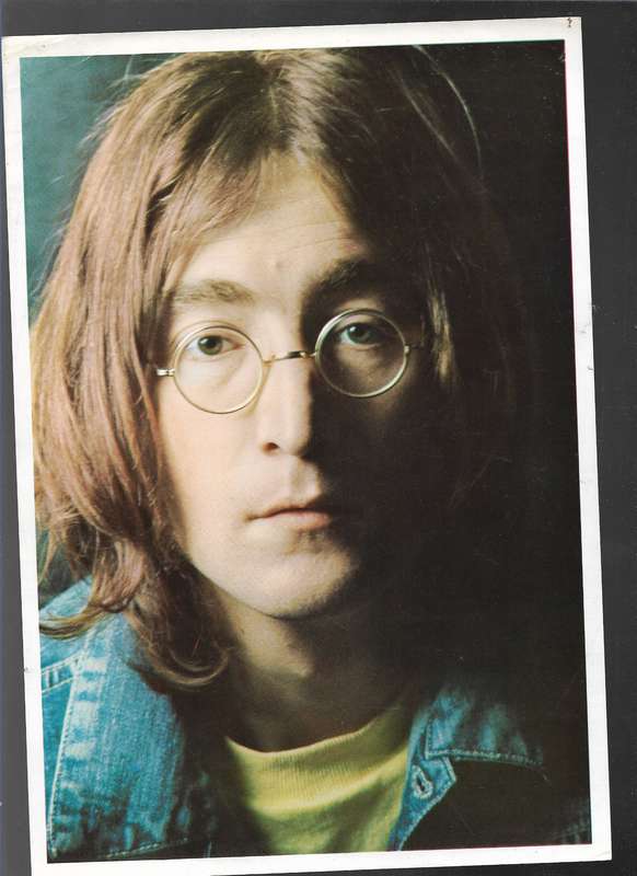 THE BEATLES (LP RECORD)