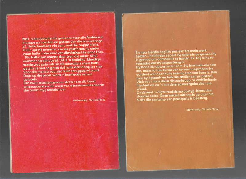 SAHARA AVONTEER REEKS- MEIRING FOUCHE- PRONKBOEKIES no29 and 30