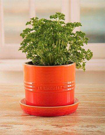 Le Creuset Stoneware Herb Planter pot