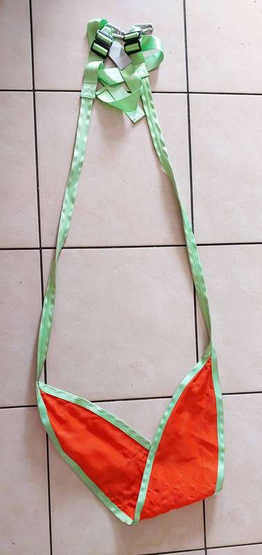 Kids Leaf Swing