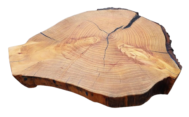 Natural Edge Tree Slice Coffee Table