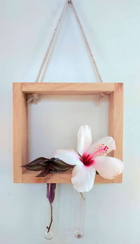 Propagation / plant display kits