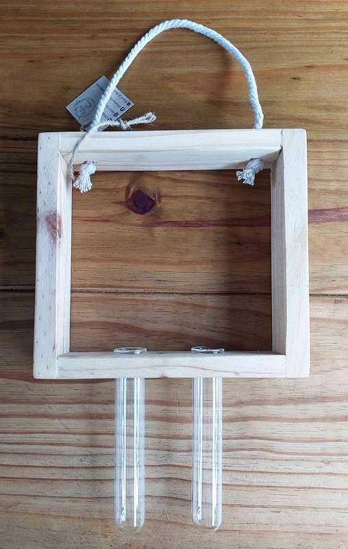 Propagation / plant display kits