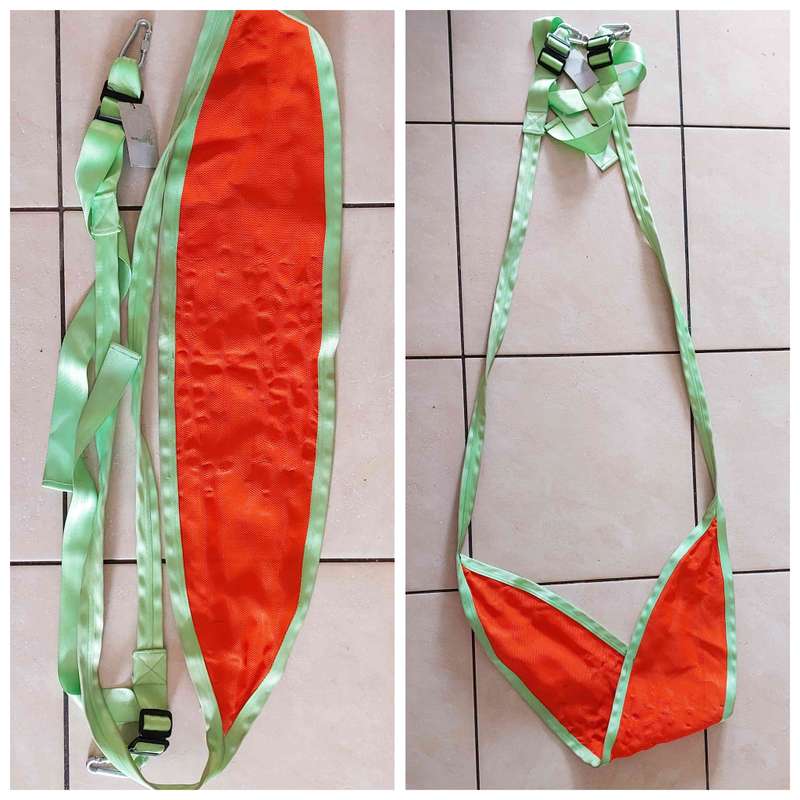 Kids Leaf Swing