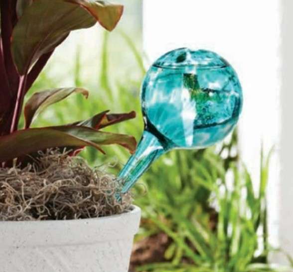 Glass Watering Ball