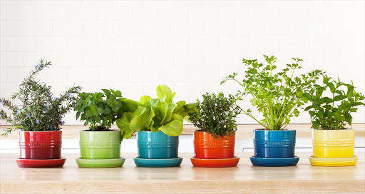 Le Creuset Stoneware Herb Planter pot