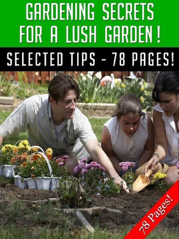 The secrets of a lush garden - Ebook