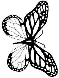 Butterflies Coloring Book - Ebook