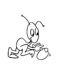 Insects Coloring Book - Ebook