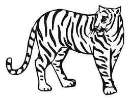 Zoo animals Coloring Book - Ebook