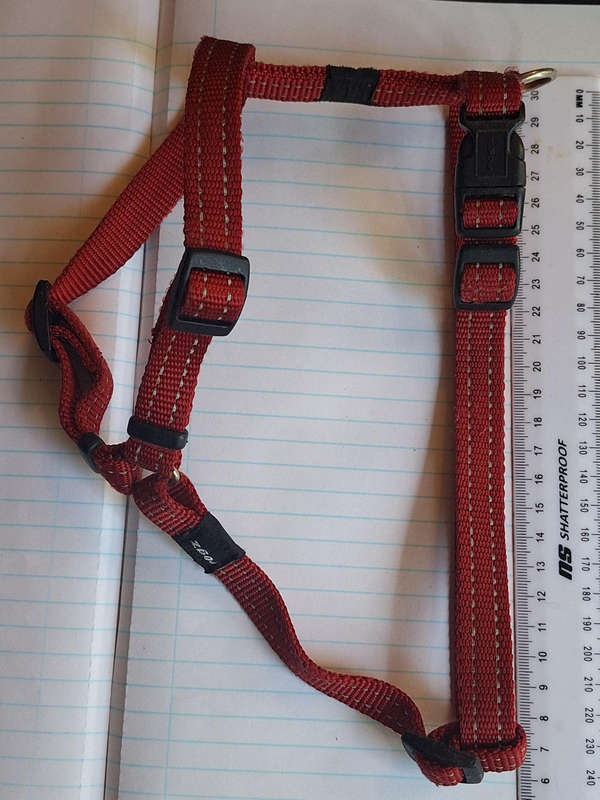 Dog Harness ROGZ Dog Harness