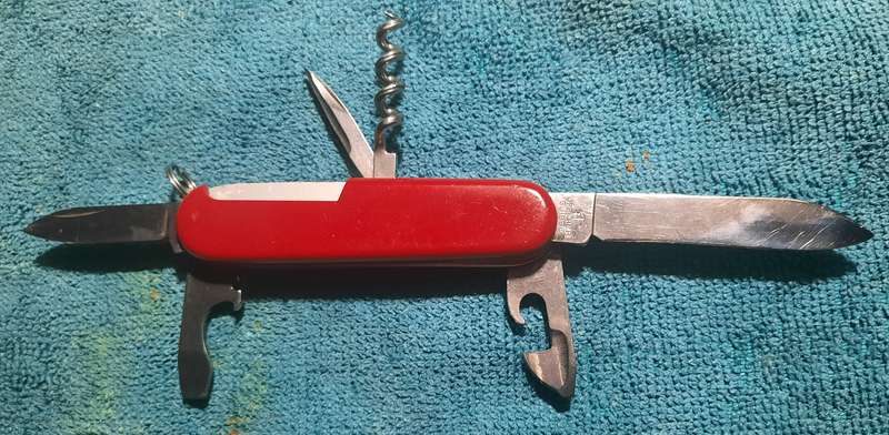Victorinox - Older Camper with Red Scales