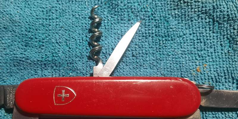 Victorinox - Older Camper with Red Scales
