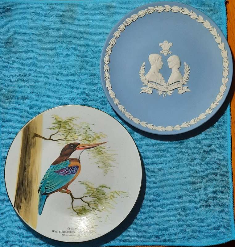 Two Plates  Dia 20 and 22 cm one Hand Painted King fisher and one Wedgewood Charles and Diana 1981